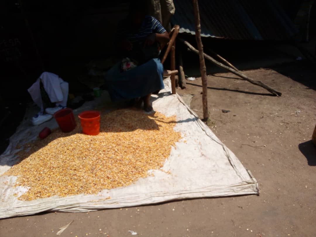 Économie : Baisse de prix des denrées alimentaires à Kananga